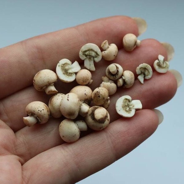 Miniature mushrooms for a dollhouse, 1/12 and 1/6 scale realistic mushrooms,  miniature champignons