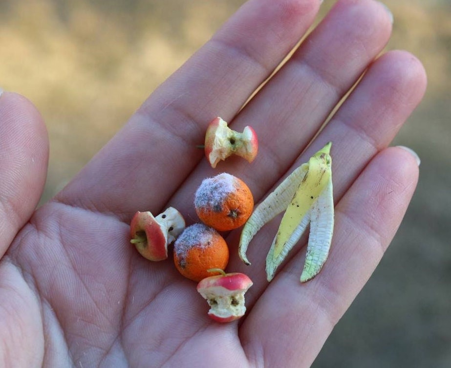 Rotten Fruit for a Dollhouse 1:6 Scale Banana, Miniature Food