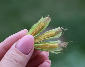 Miniature corn , Dollhouse food, Food for dollhouse, Mini food, Doll food, Miniature fruits and vegetables, Miniatures, Mini corn