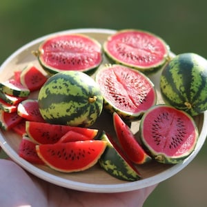 Miniature Watermelon Fruit Clay Mini Fruit Dollhouse Handmade 1/12 scale and 1/6 scale realistic fruits, realistic fruits Miniature coconut