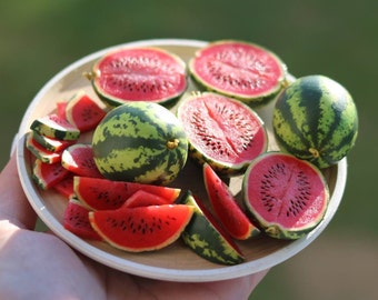 Miniature Watermelon Fruit Clay Mini Fruit Dollhouse Handmade 1/12 scale and 1/6 scale realistic fruits, realistic fruits Miniature coconut