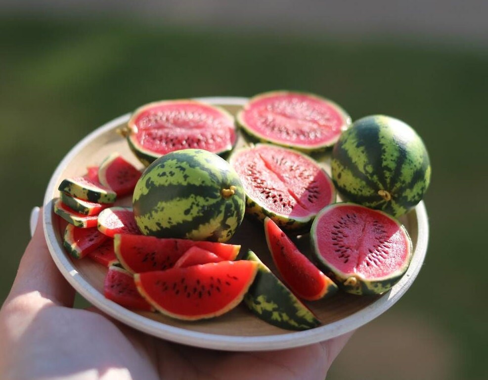 Tumdee 4 Miniature Watermelon Quarter Pieces – 1:12 Scale Dolls House Fruit – Handmade Clay