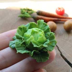 Cabbage for a dollhouse in 1/6 and 1/12 scale Miniature  Vegetables For Dollhouse 1:6 Scale Mini Vegetables Dollhouse Accessories