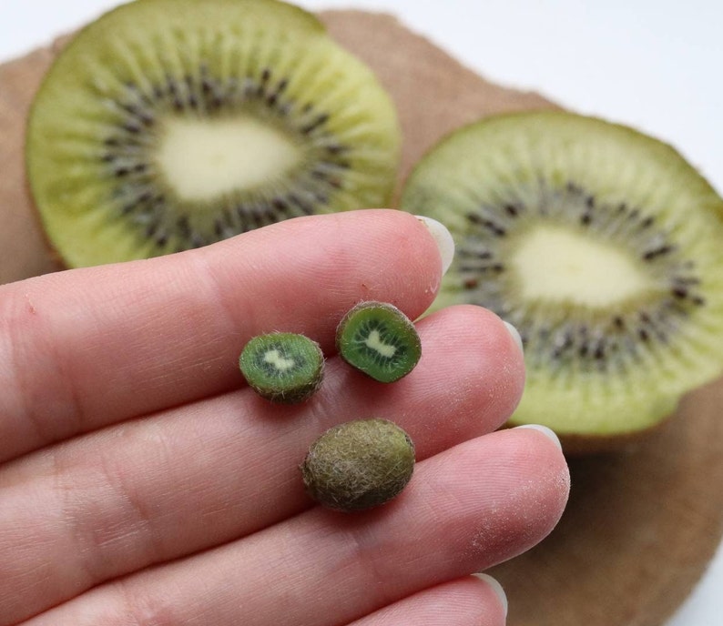 Miniature kiwi for a dollhouse, 1/12 and 1/6 scale realistic fruits, realistic fruits Mini kiwi image 2