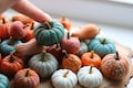 Miniature pumpkin, white pumpkin, halloween decor, dollhouse farmhouse, fairy garden, 1 6 scale 112scale