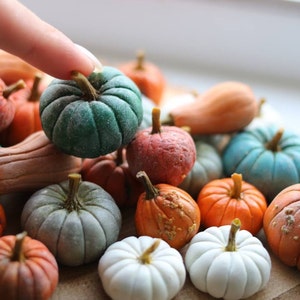 Citrouille miniature, citrouille blanche, décoration d&#39;halloween, ferme de maison de poupée, jardin de fées, échelle 1 6 échelle 112