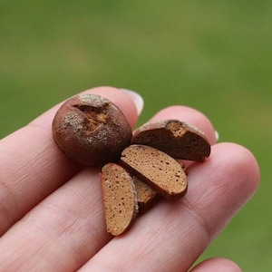 May include: A close-up of a hand holding a loaf of brown bread that has been sliced into four pieces. The bread is a dark brown colour and has a slightly rough texture.