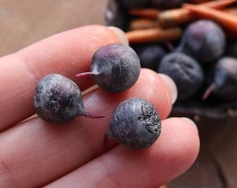 Mini beet Vegetables for a dollhouse in 1/6 scale Miniature Polymer Clay  Mini Vegetables Dollhouse Accessories