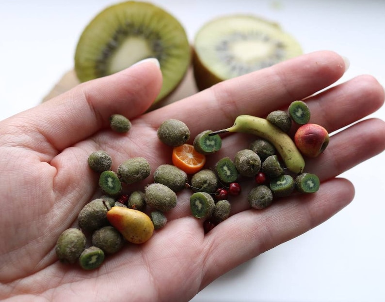 Miniature kiwi for a dollhouse, 1/12 and 1/6 scale realistic fruits, realistic fruits Mini kiwi image 3