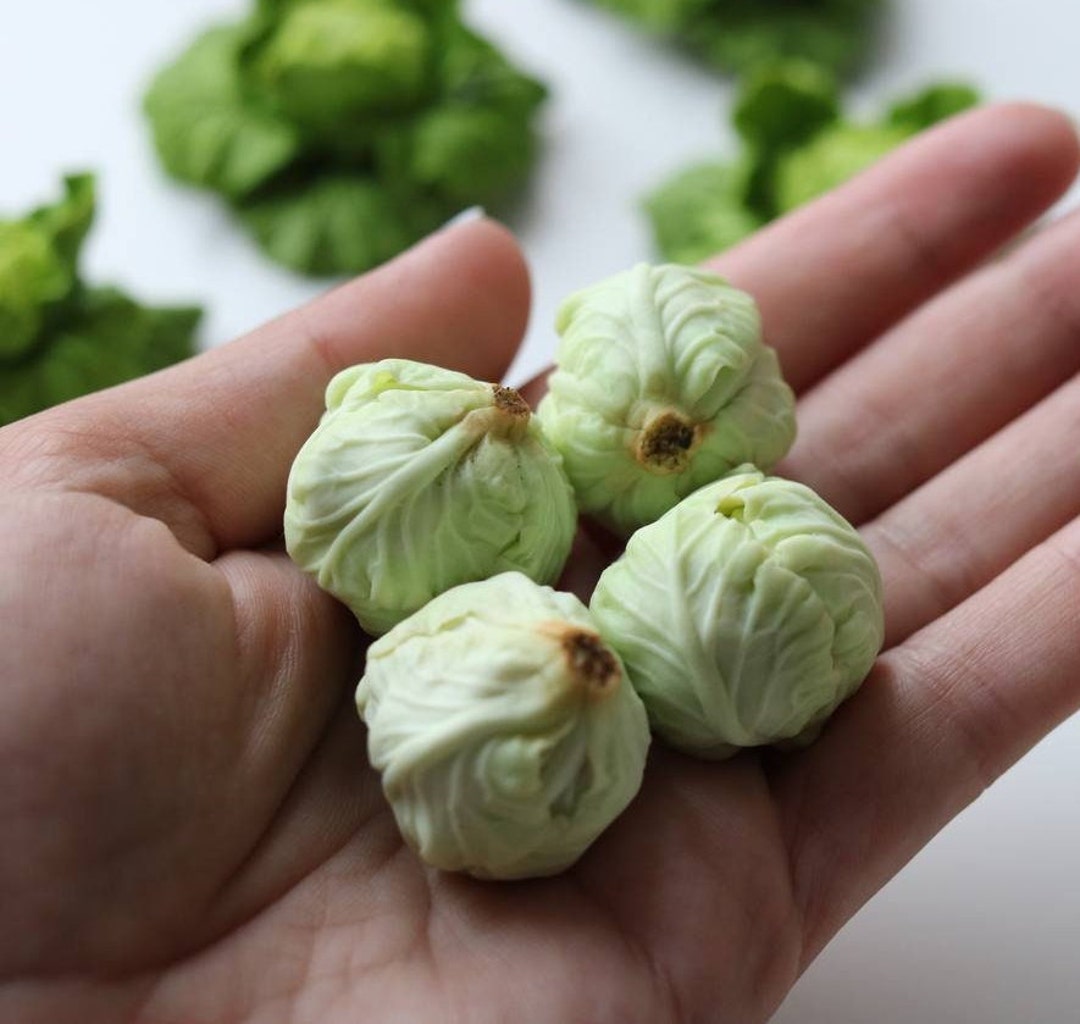 Cabbage for a Dollhouse in 1/6 and 1/12 Scale Miniature Vegetables for