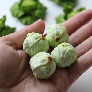 Cabbage for a dollhouse in 1/6 and 1/12 scale Miniature  Vegetables For Dollhouse 1:6 Scale Mini Vegetables Dollhouse Accessories