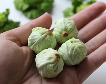 May include: Four small, realistic-looking green cabbage heads are held in a hand. The cabbages are made of polymer clay and are about the size of a quarter.