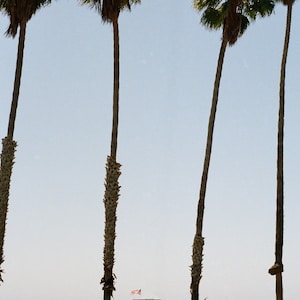 California Beach Lifeguard Tower Palm Trees Digital Download