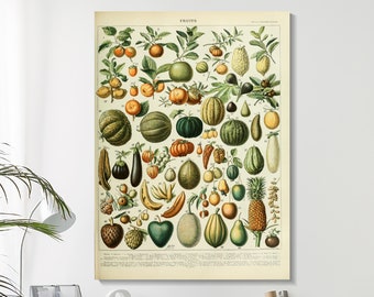 Vintage Botanical Fruit & Vegetable Canvas Art Print