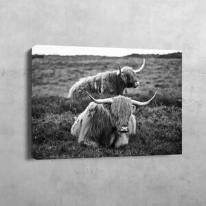 Highland Kuh Wandbild, Bauernhaus Leinwand Geschenk, Kuh Wanddekor, Übergröße druckbare Kunst, Wohnzimmer Dekoration, moderne Leinwand, Tier Poster