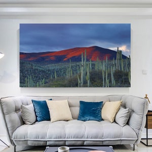 Kaktus Malerei Kunst, Botanischer Garten Wandkunst, Landschaft Wüste Poster, Mexiko Ansicht Leinwand, Wohnzimmerdekor, Geschenk für Zuhause
