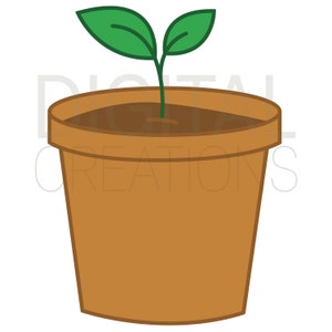 DIGITAL Seedling in a Pot Image