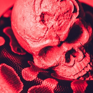 Miserable without me Demonic Spell / Dark Hex Spellcasting / Hex the Ex Spell work / cast within 24 hours