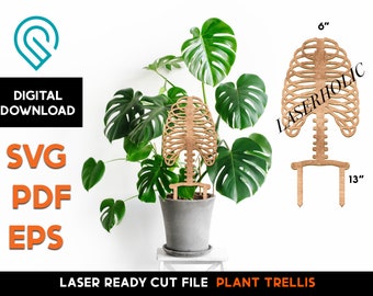 Plant Trellis - Skeleton -  Laser SVG Cut File - Glowforge Ready - Plant, Support, Indoor, Pot, Gardening