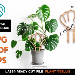 Könnte beinhalten: Lasergeschnittenes Pflanzenspalier in Form einer Muschel. Das Spalier ist 8,5 Zoll hoch und 6 Zoll breit. Das Spalier ist aus Holz und bereit zum Zusammenbauen.