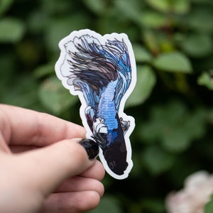 Sticker | Betta Fish Sticker | Fish Tank | Hydro Flask Stickers | Mirror Decal | Fish Tank Decor | Betta Fish Plants | Waterproof Sticker