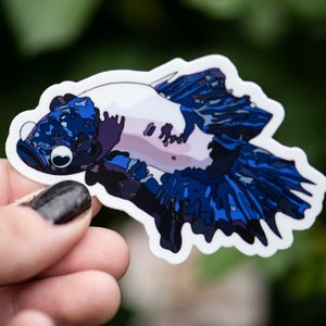 Betta Fish Sticker | Fish Tank | Laptop Stickers | Mirror Decal | Fish Tank Decor | Betta Fish Plants | Waterproof Sticker | Betta Fish