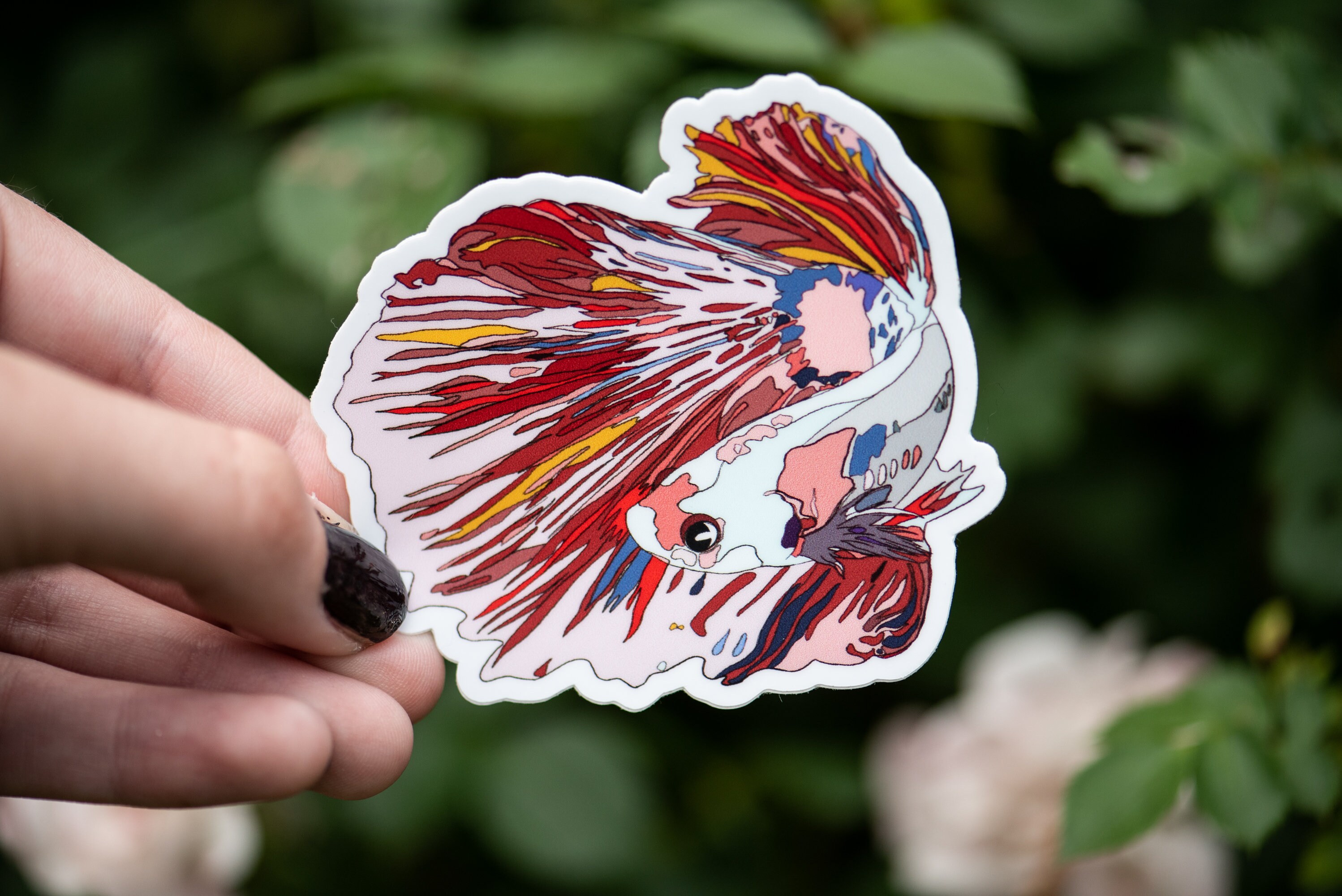 Betta Fish | Betta Fish Sticker | Fish Tank | Hydro Flask Stickers ...