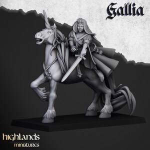 May include: A miniature figurine of a woman riding a unicorn. The woman is wearing a long robe and holding a sword. The unicorn has a horn and a flowing mane. The figurine is painted in shades of gray and white. The text "Gallia" is written in a stylized font above the figurine.