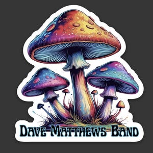 Dave Mattes Band Magic Mushrooms DMB Sticker, langlebiger wasserdichter permanenter Vinylaufkleber 7,6x3,8 cm