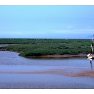 Low Tide
