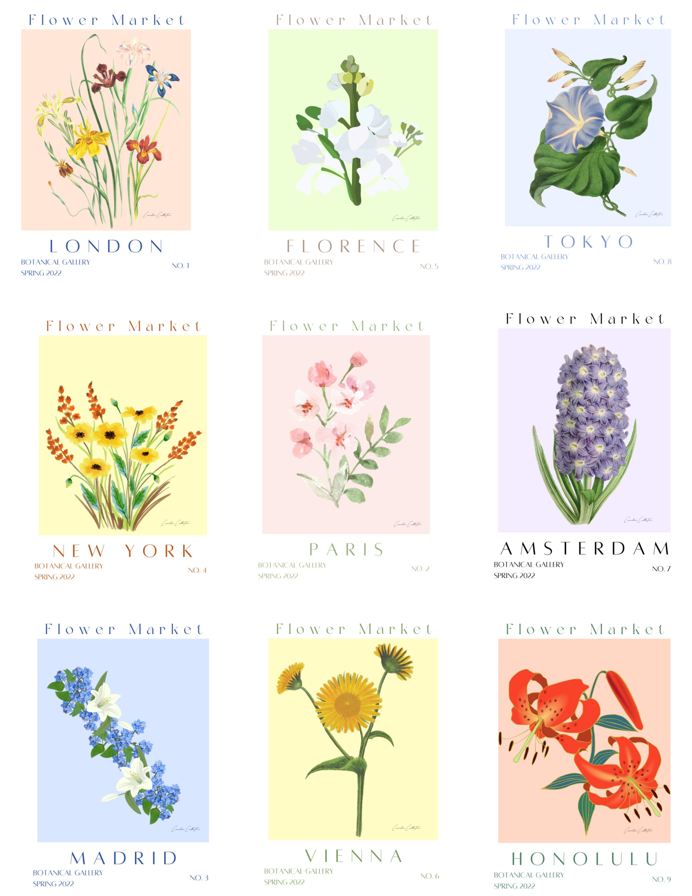 Flower Market Set of 9 Prints, Botanical Poster, Flower Market Wall Set ...