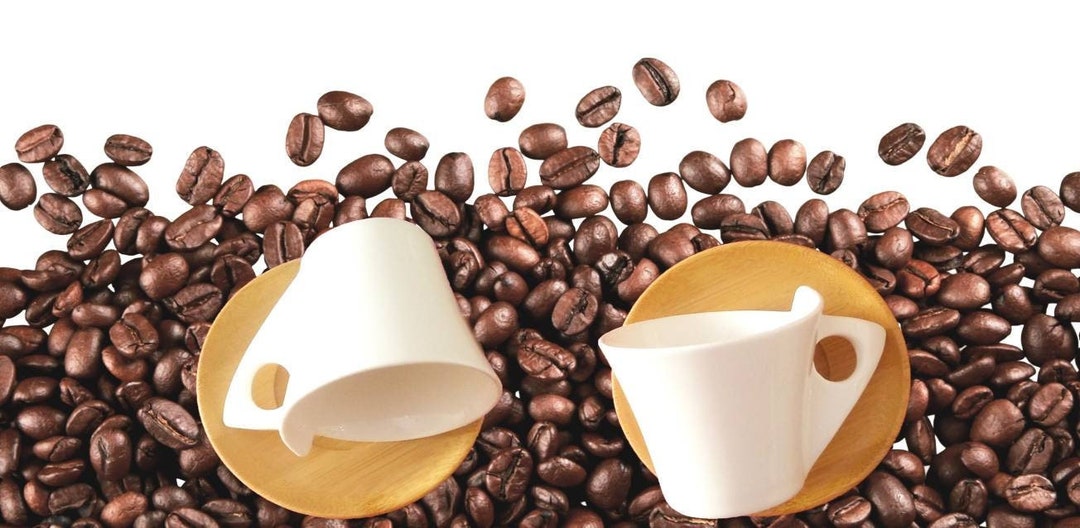 Hand-painted Ceramic Espresso Cup Set: White Bamboo Coffee Cups - Etsy