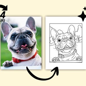 May include: Image featuring a smiling French Bulldog with a red collar, next to a black and white line drawing of the same dog. The image includes a 24-hour icon and a curved arrow.