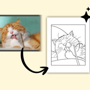 May include: An image featuring a ginger and white cat grooming itself, with a close-up of the cat licking its paw. Next to it is a black and white line drawing of a cat grooming itself with chopsticks.