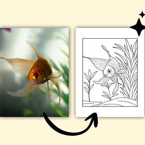 May include: A vibrant image of a goldfish swimming in an aquarium, next to a black and white line drawing of a similar fish. The goldfish is orange with flowing fins. The drawing shows the fish with aquatic plants.