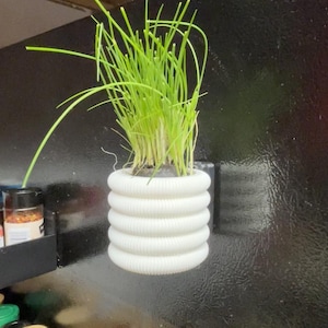 May include: A small, white, ribbed planter with vibrant green chives growing inside. The planter is attached to a black surface, likely a refrigerator, and is filled with fresh herbs. A practical and decorative item for the kitchen.