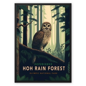 May include: A vintage travel poster featuring a brown and white owl perched on a branch in a lush green rainforest. The text reads "Experience Hoh Rain Forest Olympic National Park".