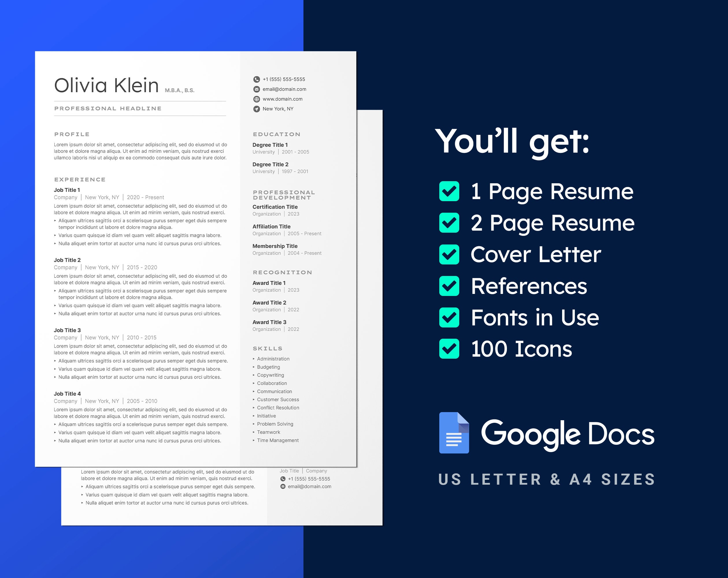 CV Resume Template Google Docs Resume Template CV Template Professional Resume Template CV