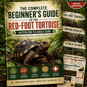 Könnte beinhalten: Ein 12-seitiger digitaler Ratgeber mit dem Titel The Complete Beginner's Guide to the Red-Foot Tortoise, der eine Köhlerschildkröte auf dem Cover zeigt. Der Leitfaden enthält Informationen zu Einkauf, Lebensraum, Temperatur und Pflege.