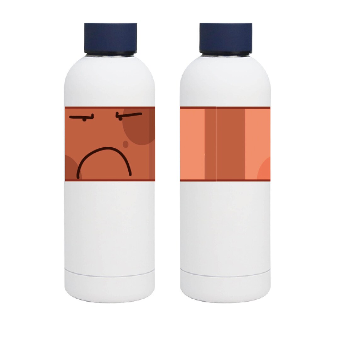 hfjone-bryce-water-bottle-limited-stock-object-shows-etsy