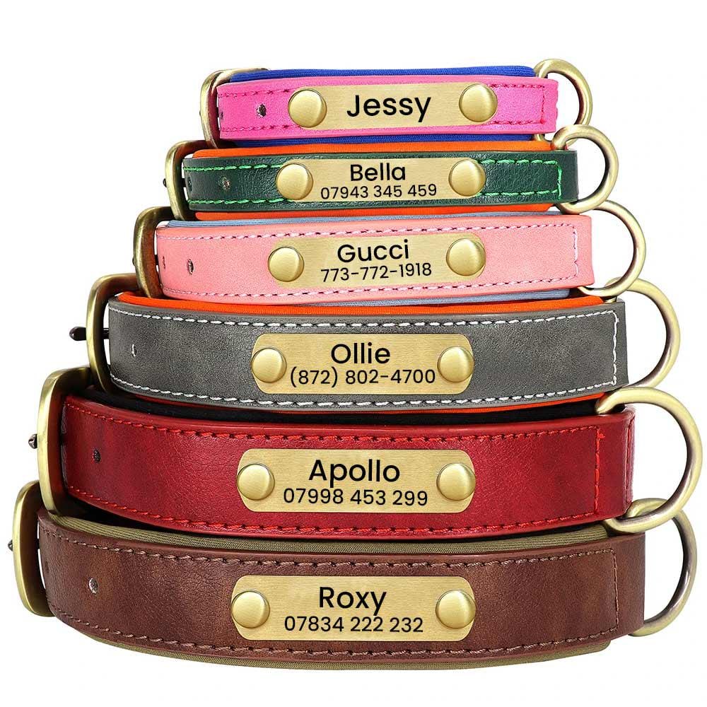 NUGUTIC Guinzaglio Per Cani Da 1,5 , Realizzato A Ano, In Corda - Foto 10