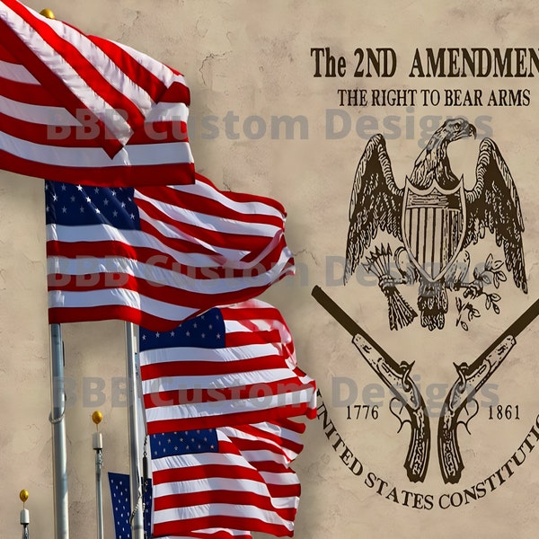 The 2ND Amendment Is my gun permit /1776 1861 / America / US Constitution Design 20oz Tumbler design