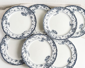 Rare Antique Doulton Burslem Side Plates, ALBERT Pattern Antique 9" Plate, Blue and White Porcelain, 1800s Old Dinner Set