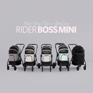 Buddyduggy Rider Boss Mini 3 w 1 Wózek dla zwierząt Podróżny Gondola Nosidełko