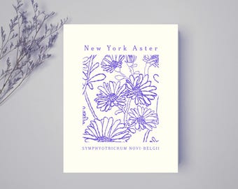 New York Aster Botanical Art Print – Hand-Drawn Wildflower Illustration | Purple Floral Wall Art
