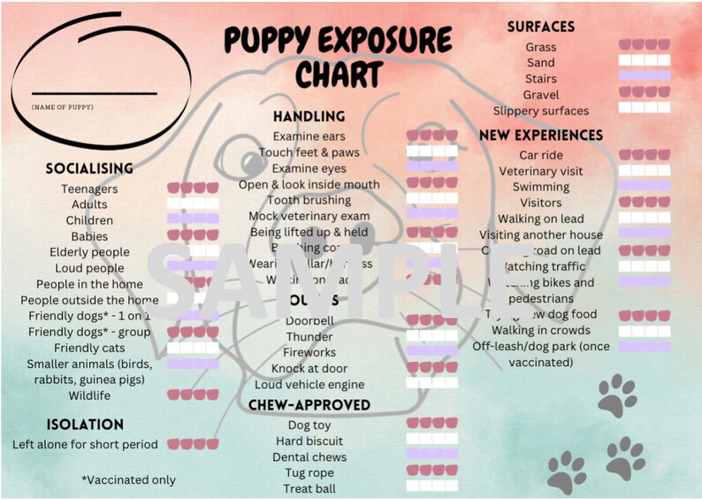 Puppy Exposure Training Chart Etsy