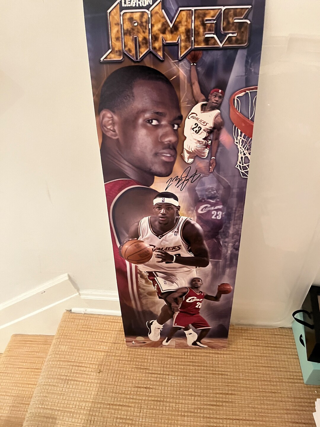 signed lebron poster