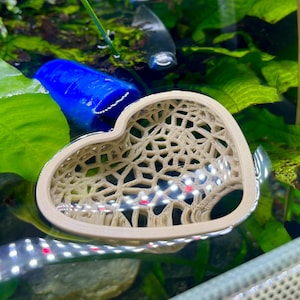 May include: A beige, heart-shaped aquarium decoration with a lattice design floats in the water. The decoration is surrounded by green aquatic plants and a blue cylindrical object. The aquarium is lit with white and red lights.
