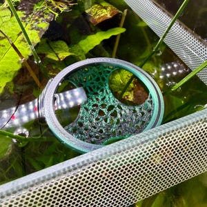 Peut inclure: Un filtre d'aquarium circulaire imprimé en 3D, vert et gris, partiellement immergé dans l'eau. Le filtre présente un design complexe en tissage ouvert et est entouré de plantes aquatiques et d'une structure en treillis blanc. L'eau est claire.