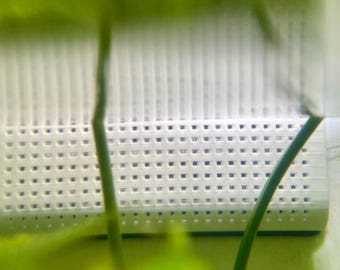 Shrimp Saver Intake: works with Fluval Flex/Spec/Evo , 3gal up to 16gal tanks